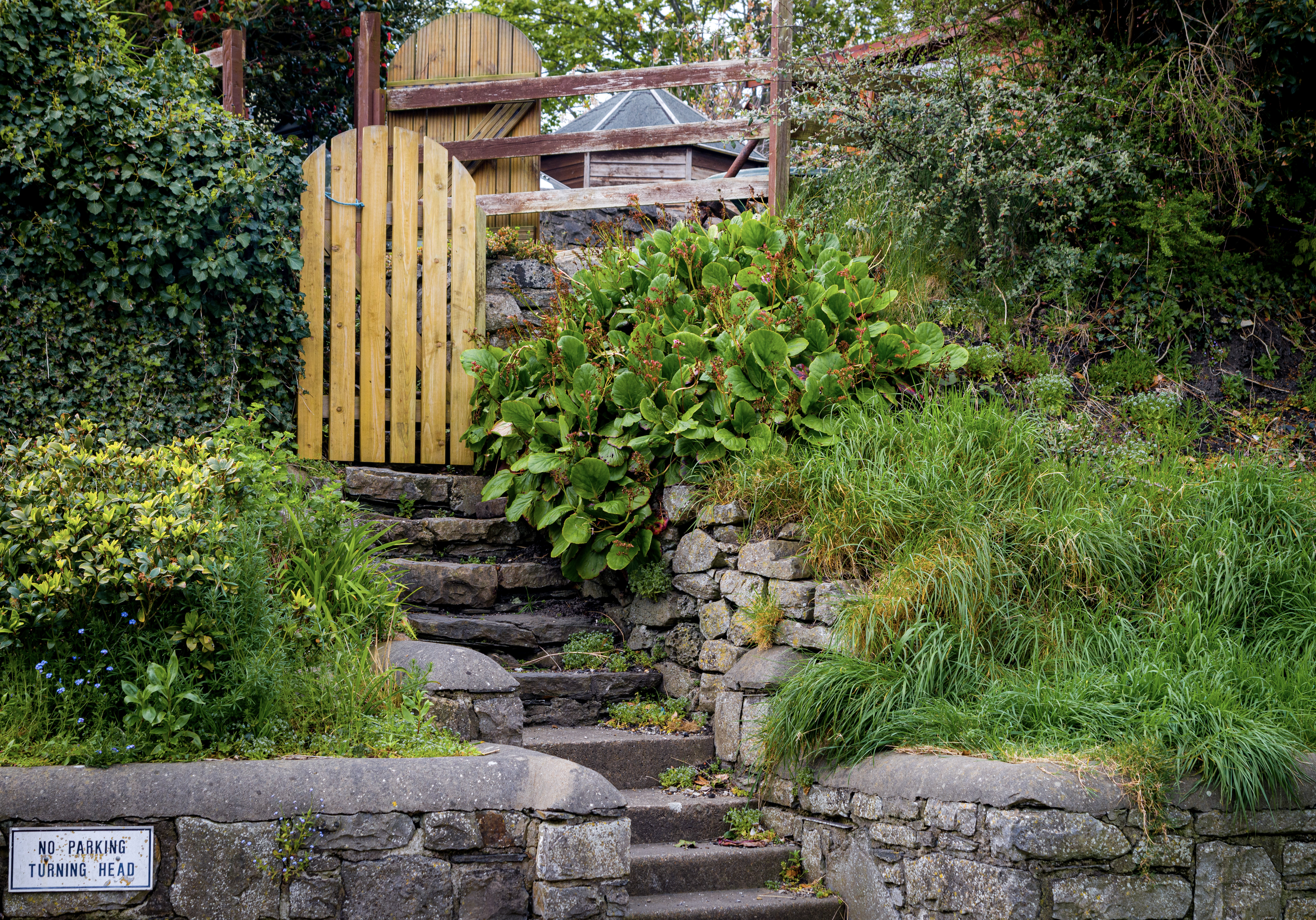 A small rough-hewn staircase leads to a garden, a small wooden gate is at the top of the stairs, and several plants can be seen either side.