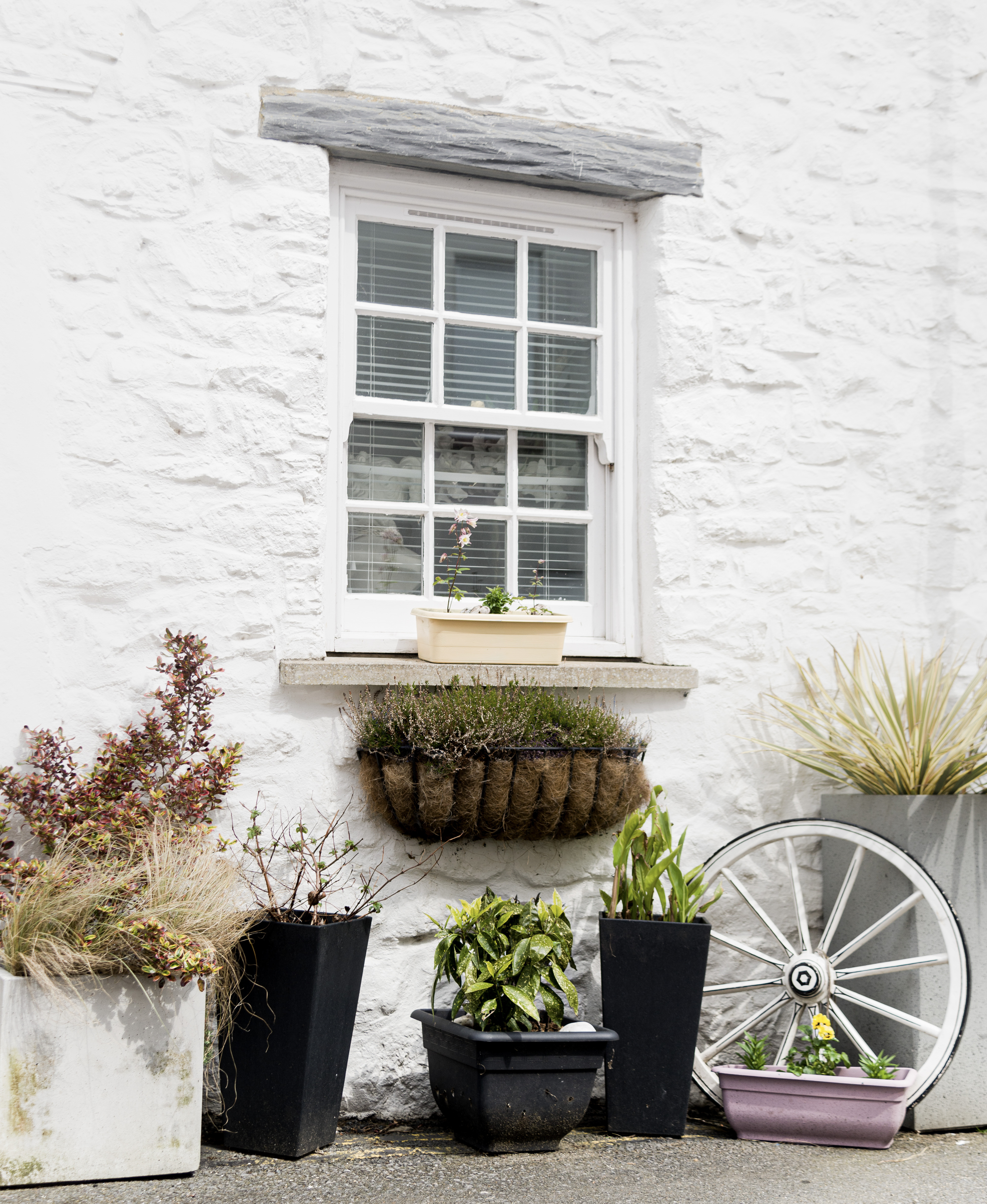 A white-washed wal with a small window,below it several potted plants and a white wooden wagon wheel.