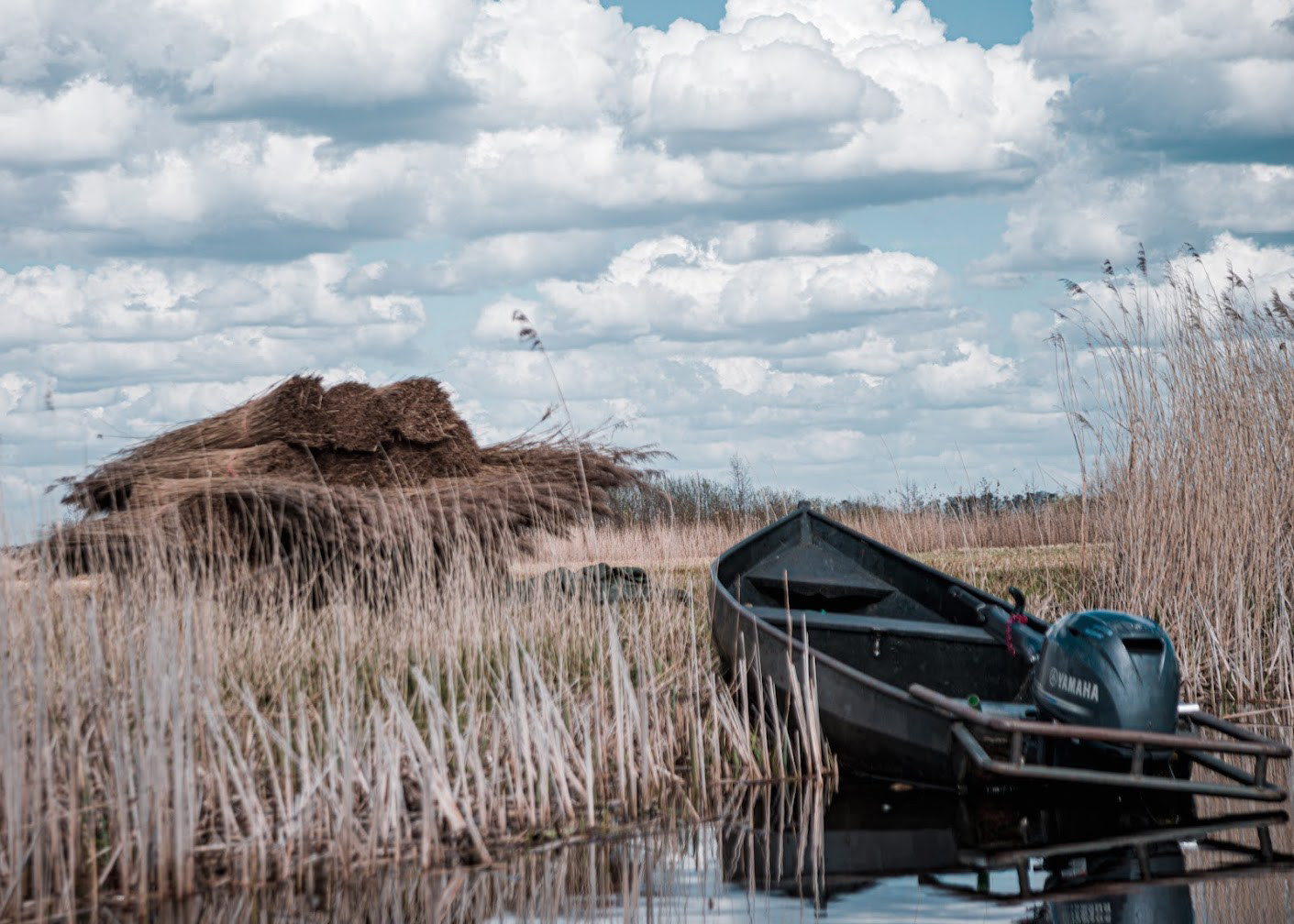 A boat resting near grass ready for bailing, Geithoorn, NL
